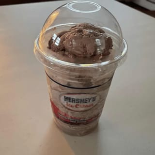 Chocolate Ice Cream